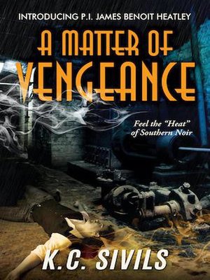 cover image of A Matter of Vengeance